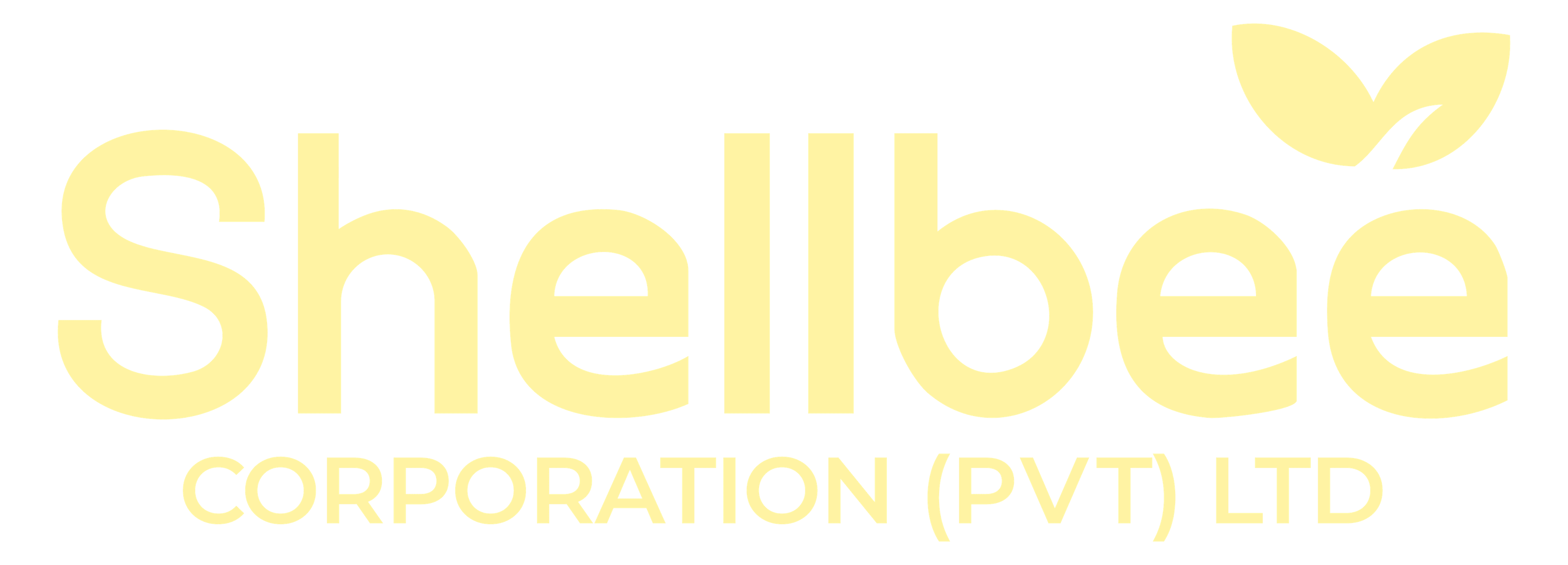 Shellbee Corporation (PVT) LTD